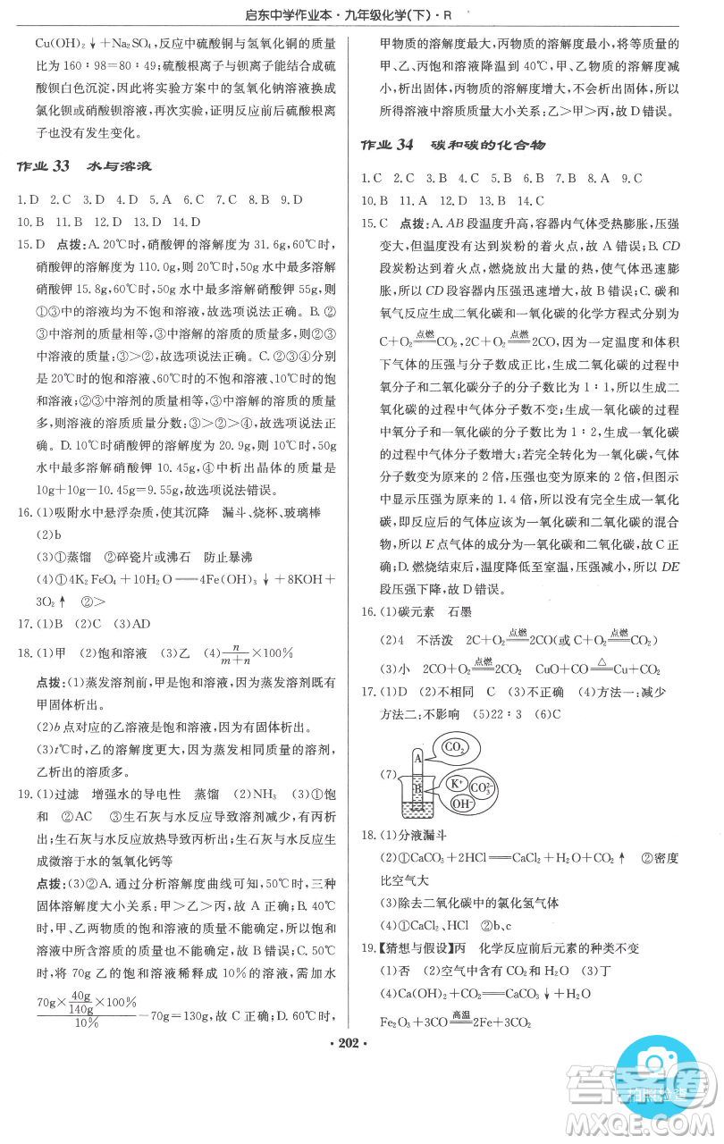 龍門書局2023啟東中學(xué)作業(yè)本九年級(jí)下冊(cè)化學(xué)人教版參考答案