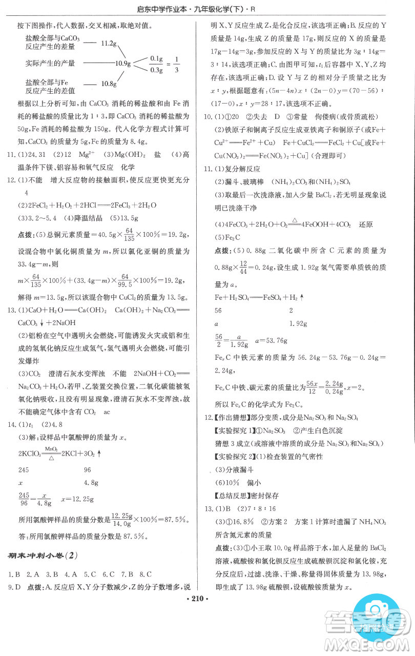 龍門書局2023啟東中學(xué)作業(yè)本九年級(jí)下冊(cè)化學(xué)人教版參考答案