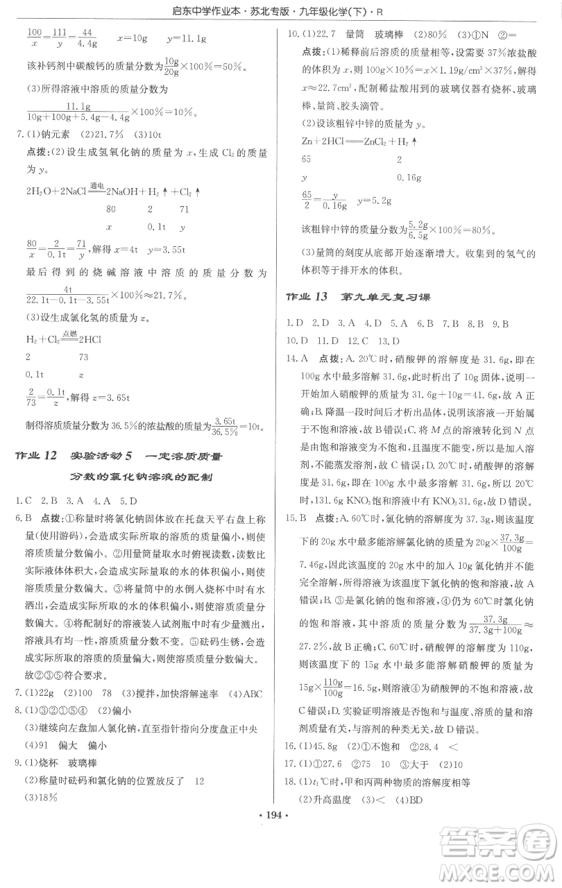 龍門書局2023啟東中學作業(yè)本九年級下冊化學人教版蘇北專版參考答案