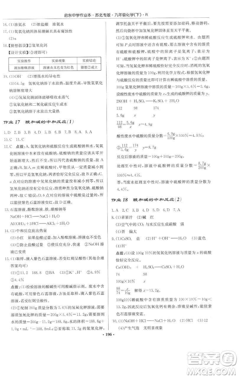 龍門書局2023啟東中學作業(yè)本九年級下冊化學人教版蘇北專版參考答案