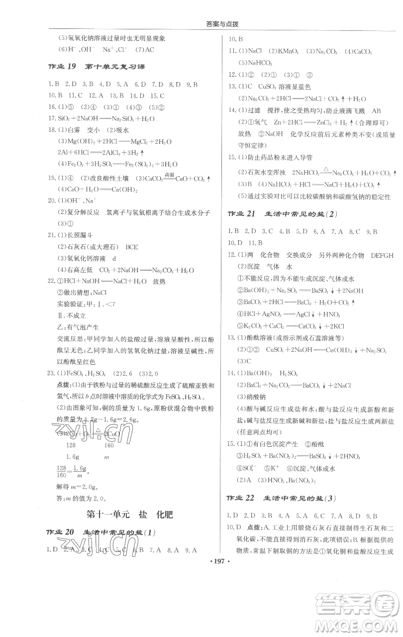 龍門書局2023啟東中學作業(yè)本九年級下冊化學人教版蘇北專版參考答案