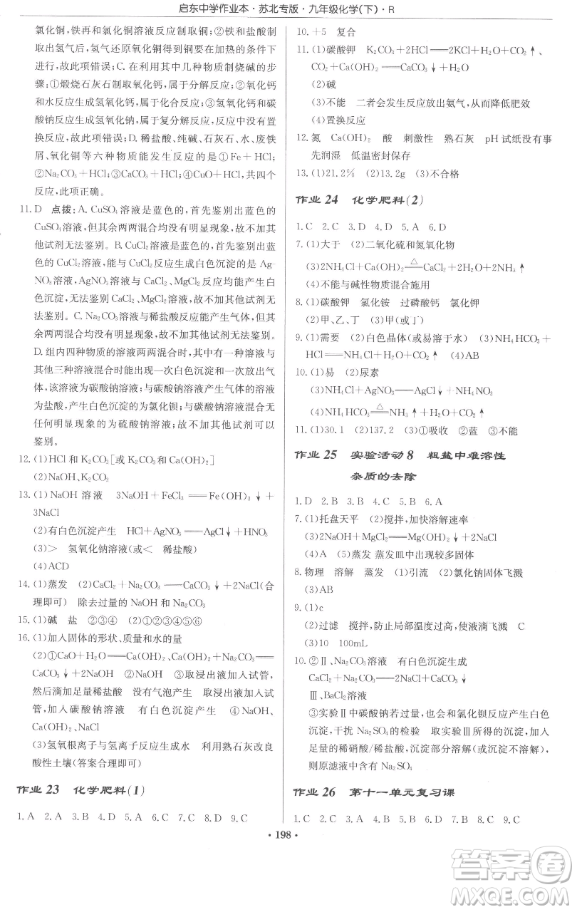 龍門書局2023啟東中學作業(yè)本九年級下冊化學人教版蘇北專版參考答案