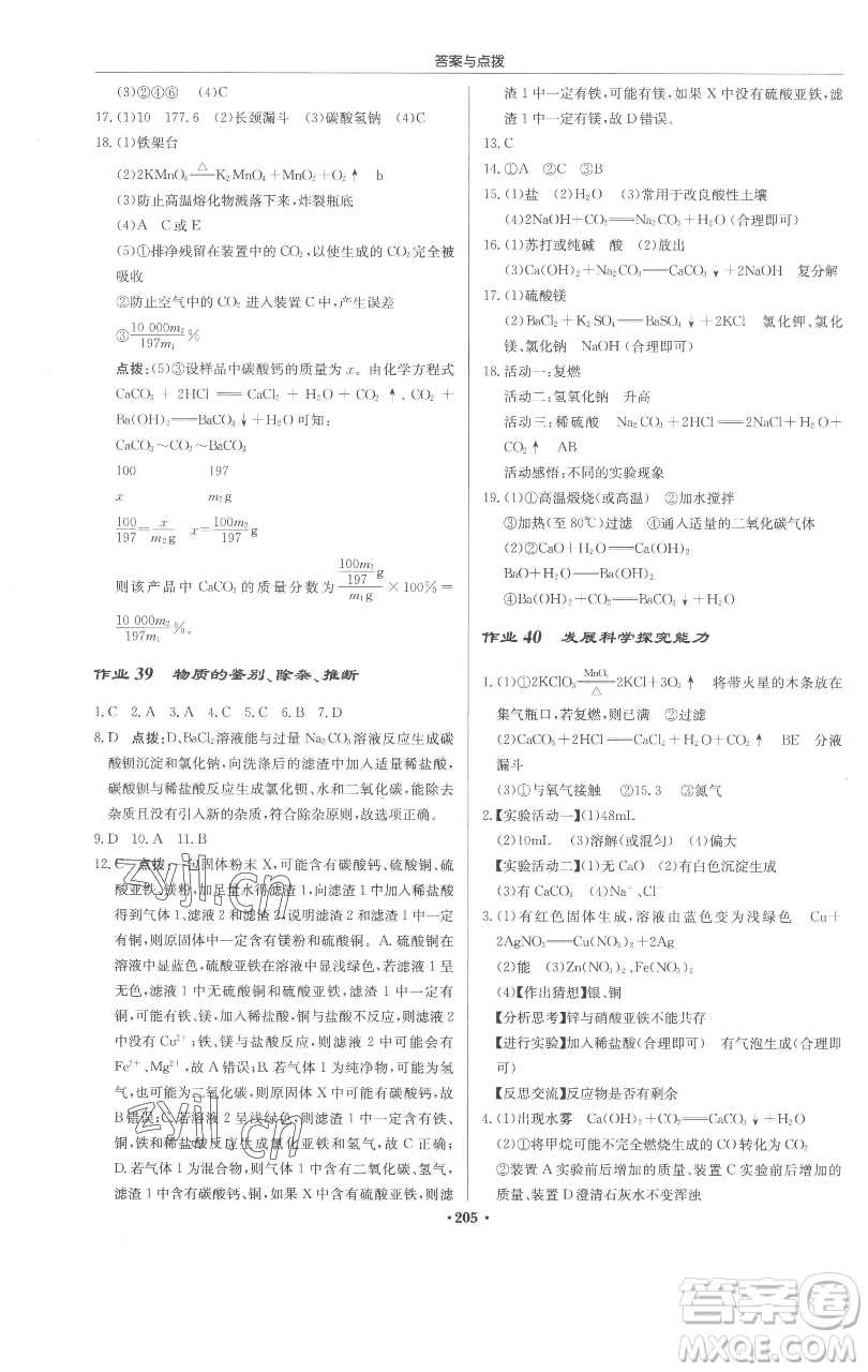 龍門書局2023啟東中學作業(yè)本九年級下冊化學人教版蘇北專版參考答案