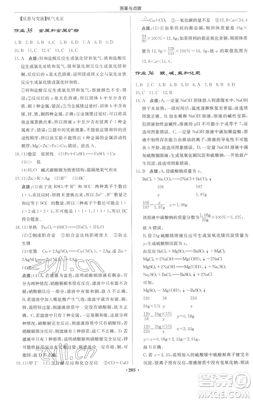 龍門書局2023啟東中學作業(yè)本九年級下冊化學人教版蘇北專版參考答案