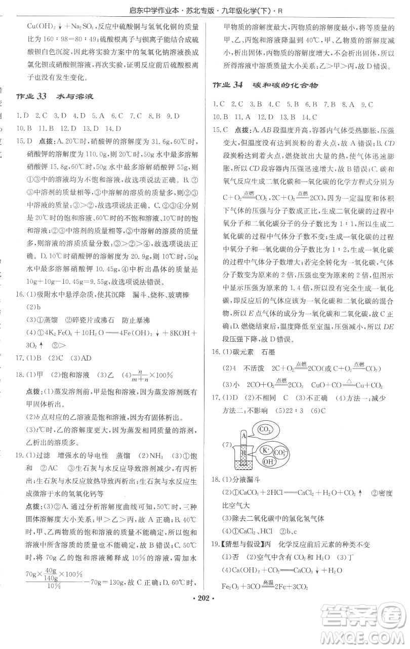 龍門書局2023啟東中學作業(yè)本九年級下冊化學人教版蘇北專版參考答案