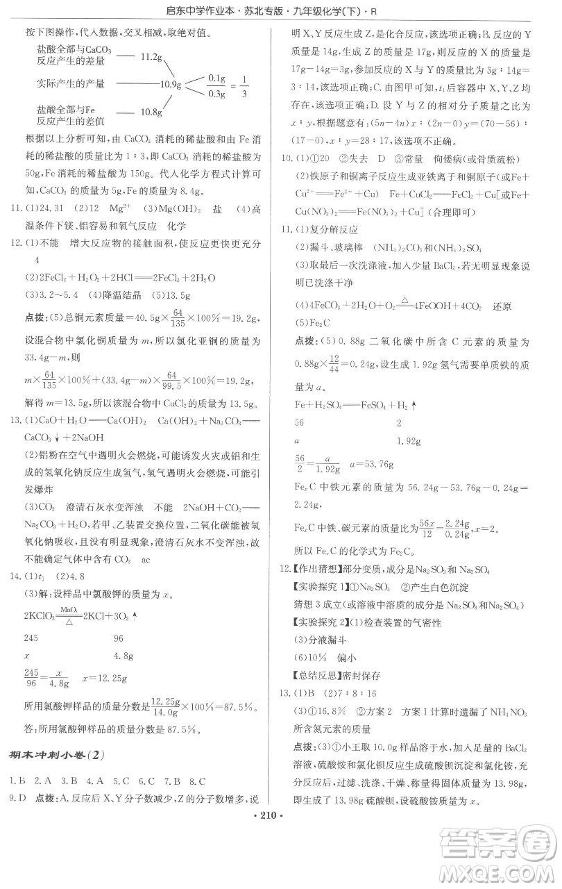 龍門書局2023啟東中學作業(yè)本九年級下冊化學人教版蘇北專版參考答案