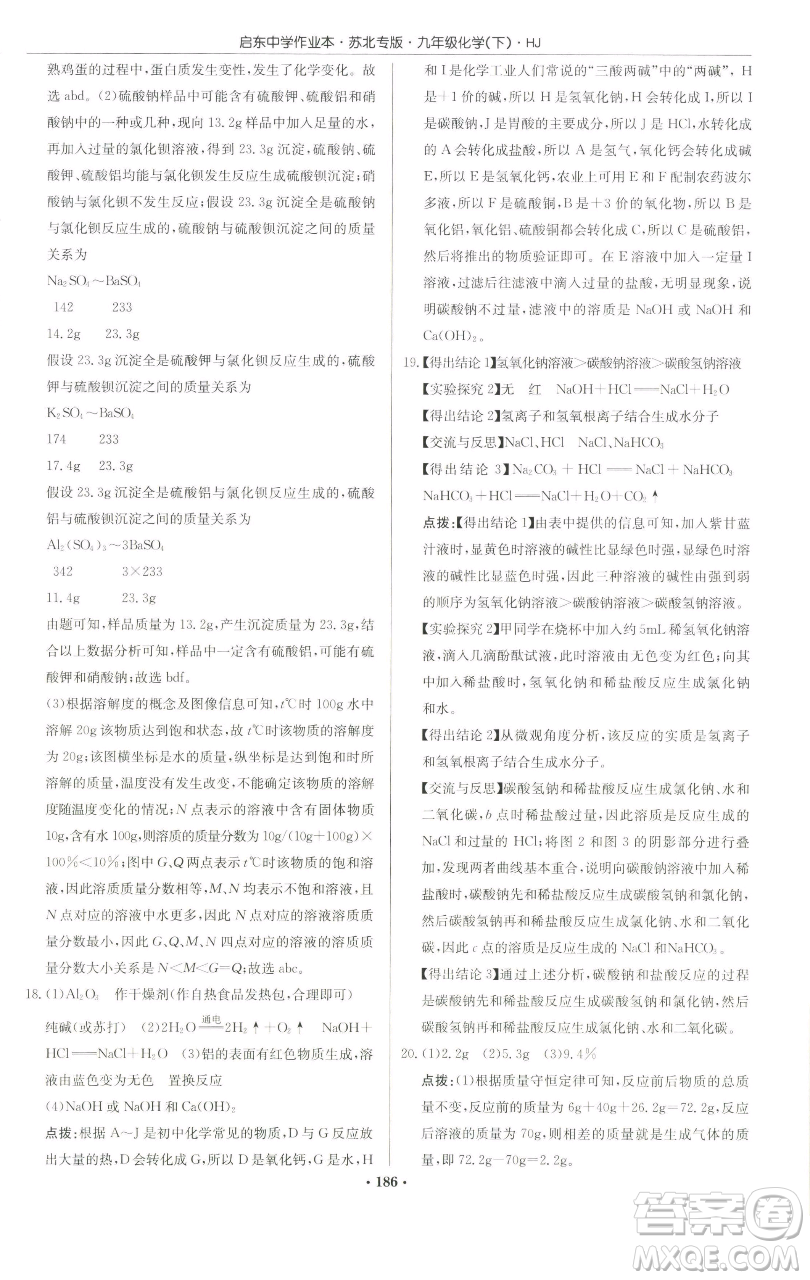 龍門書局2023啟東中學(xué)作業(yè)本九年級下冊化學(xué)滬教版蘇北專版參考答案