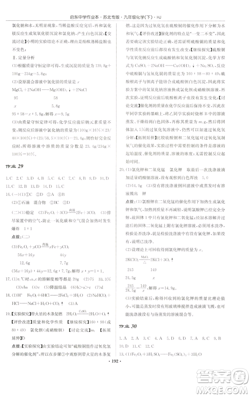 龍門書局2023啟東中學(xué)作業(yè)本九年級下冊化學(xué)滬教版蘇北專版參考答案