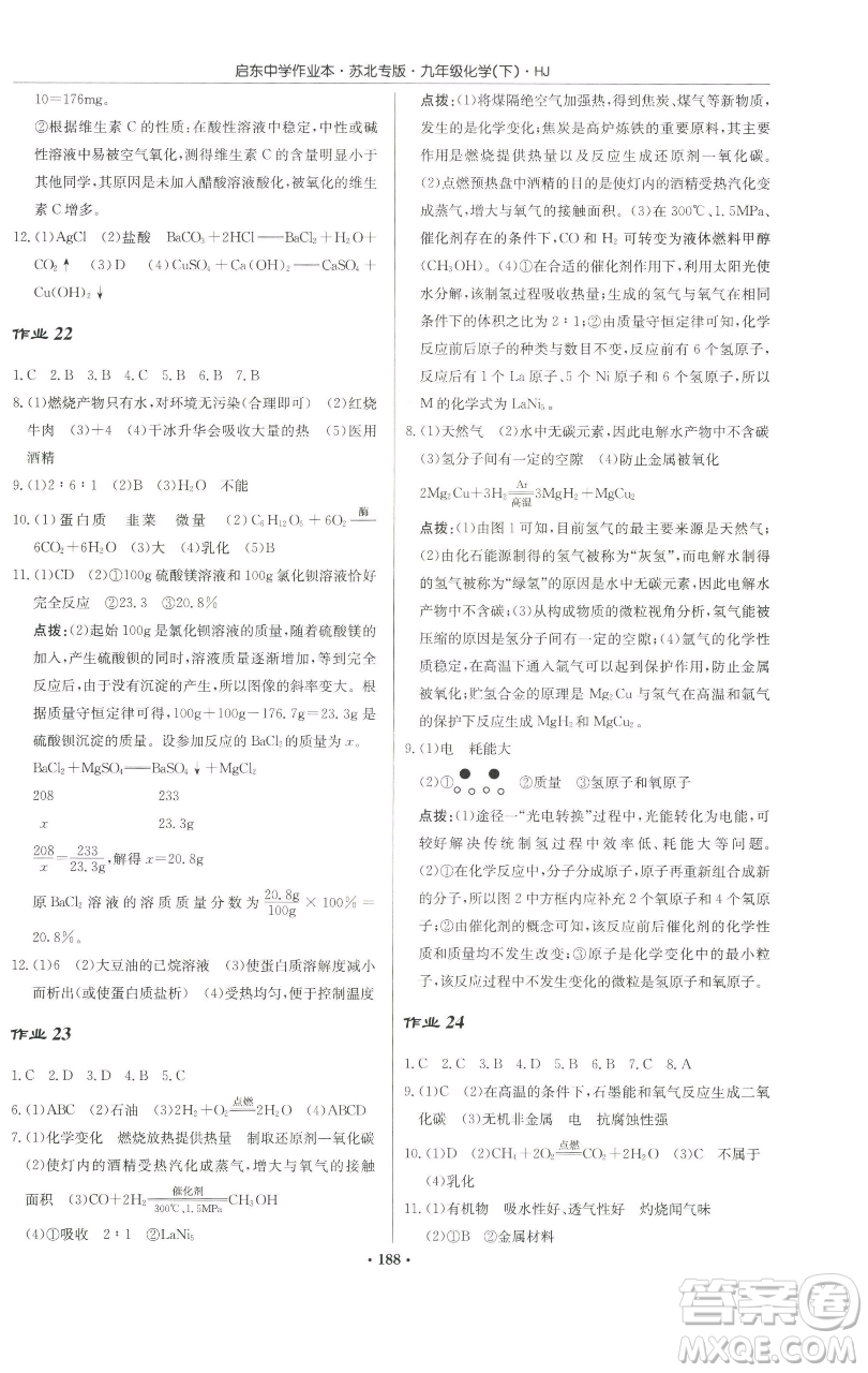 龍門書局2023啟東中學(xué)作業(yè)本九年級下冊化學(xué)滬教版蘇北專版參考答案