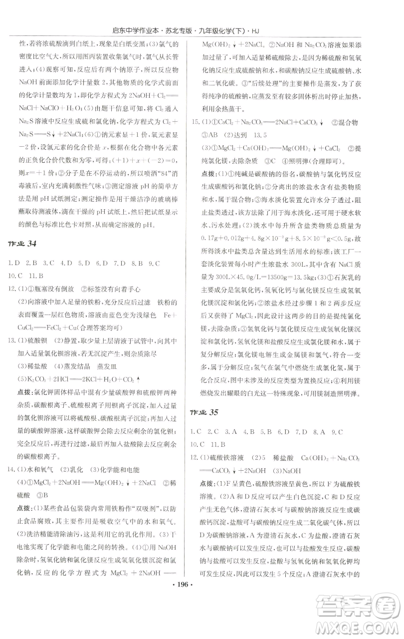 龍門書局2023啟東中學(xué)作業(yè)本九年級下冊化學(xué)滬教版蘇北專版參考答案