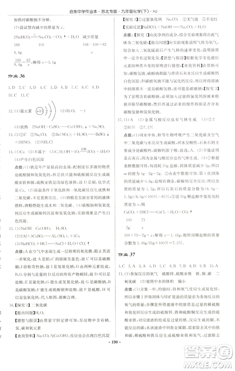 龍門書局2023啟東中學(xué)作業(yè)本九年級下冊化學(xué)滬教版蘇北專版參考答案