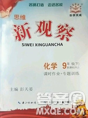長江少年兒童出版社2023思維新觀察九年級下冊化學人教版參考答案