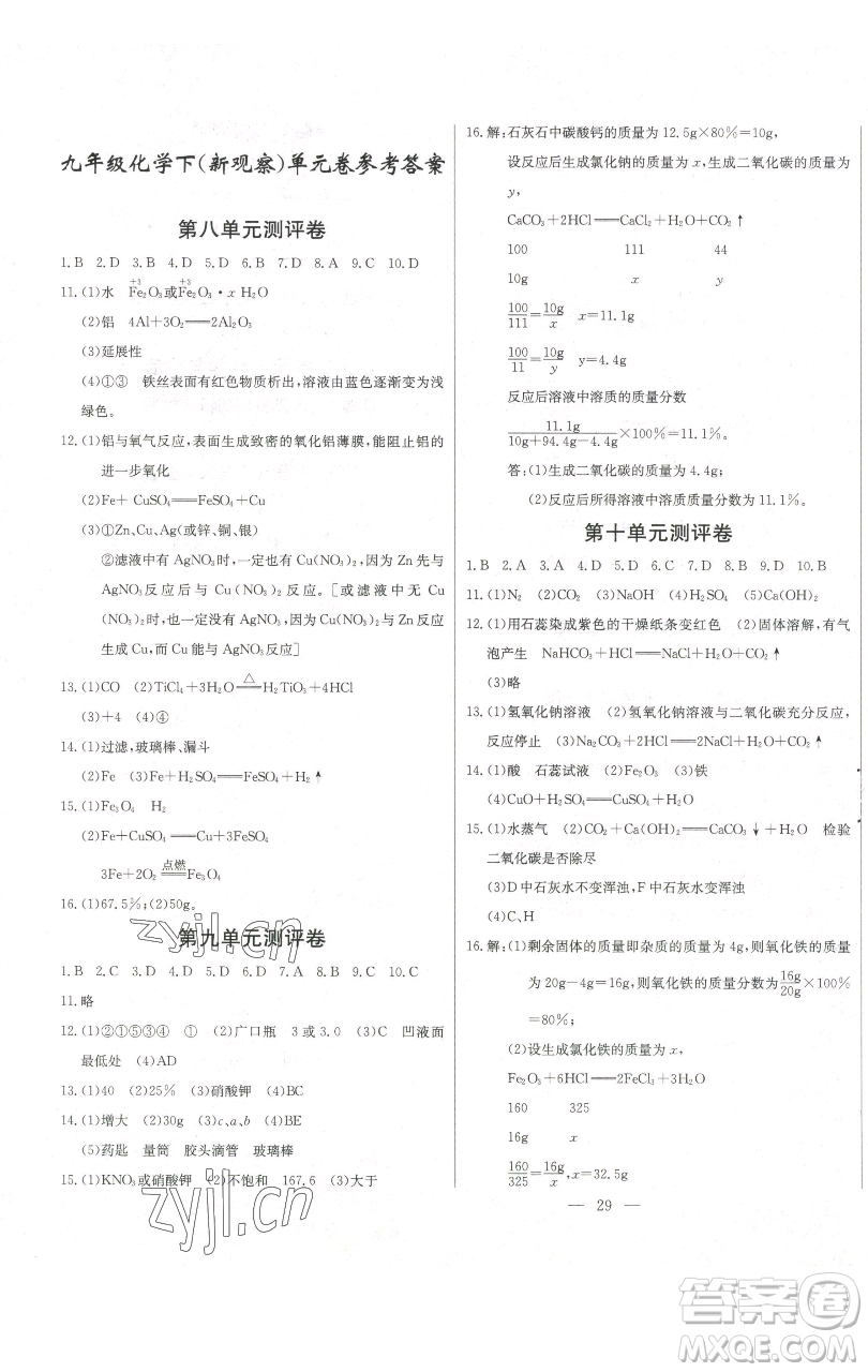 長江少年兒童出版社2023思維新觀察九年級下冊化學人教版參考答案