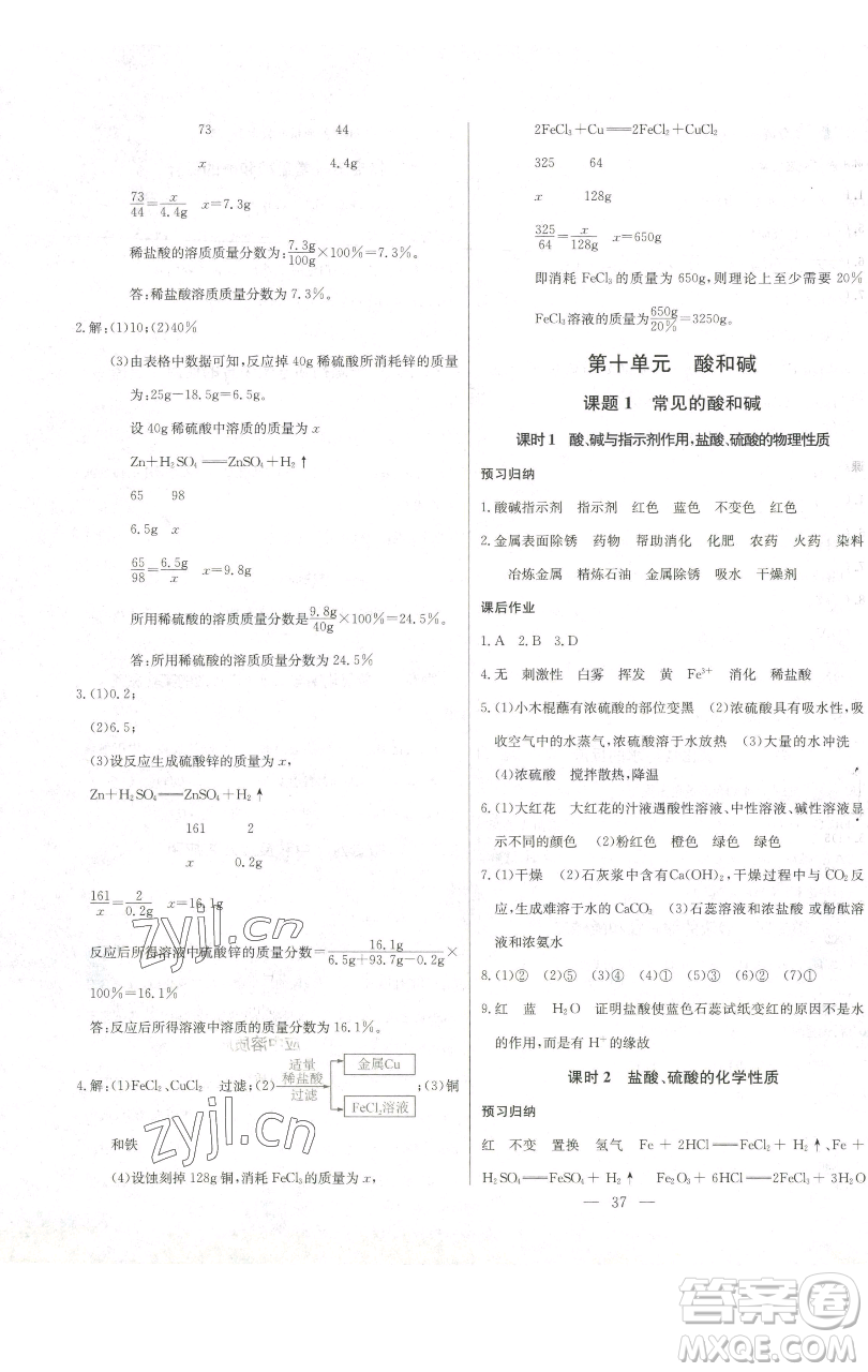 長江少年兒童出版社2023思維新觀察九年級下冊化學人教版參考答案