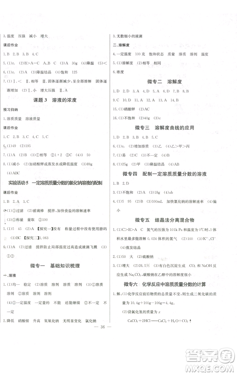 長江少年兒童出版社2023思維新觀察九年級下冊化學人教版參考答案