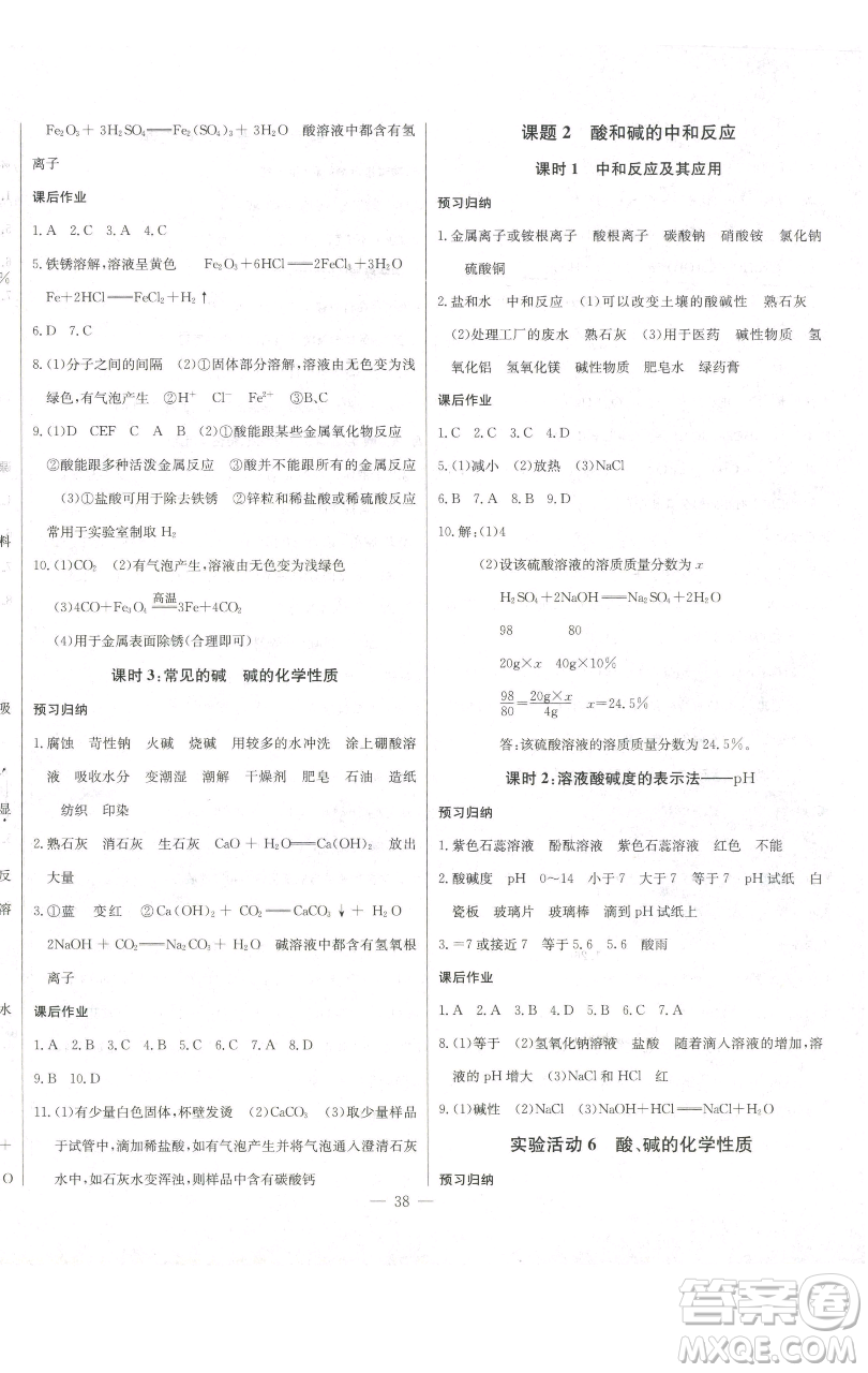 長江少年兒童出版社2023思維新觀察九年級下冊化學人教版參考答案