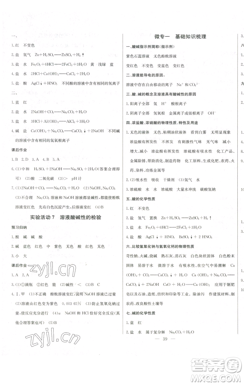 長江少年兒童出版社2023思維新觀察九年級下冊化學人教版參考答案