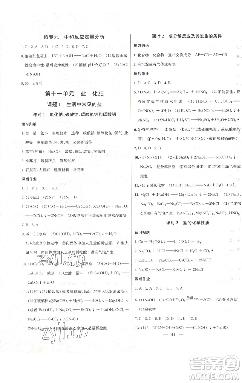 長江少年兒童出版社2023思維新觀察九年級下冊化學人教版參考答案