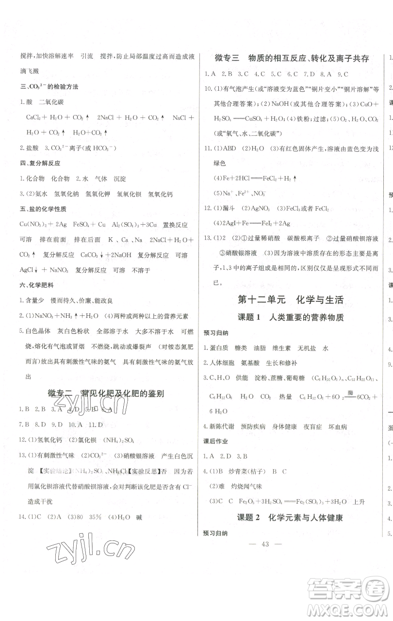長江少年兒童出版社2023思維新觀察九年級下冊化學人教版參考答案
