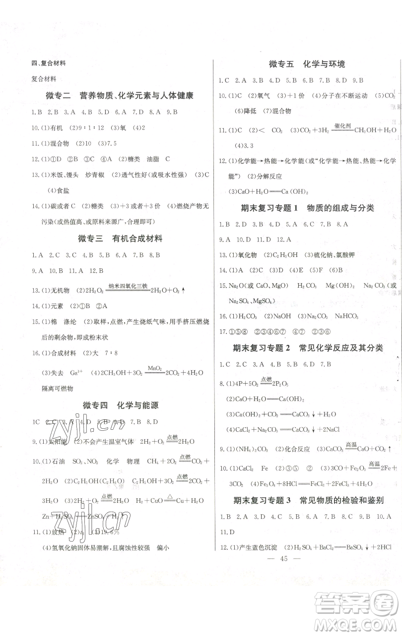 長江少年兒童出版社2023思維新觀察九年級下冊化學人教版參考答案