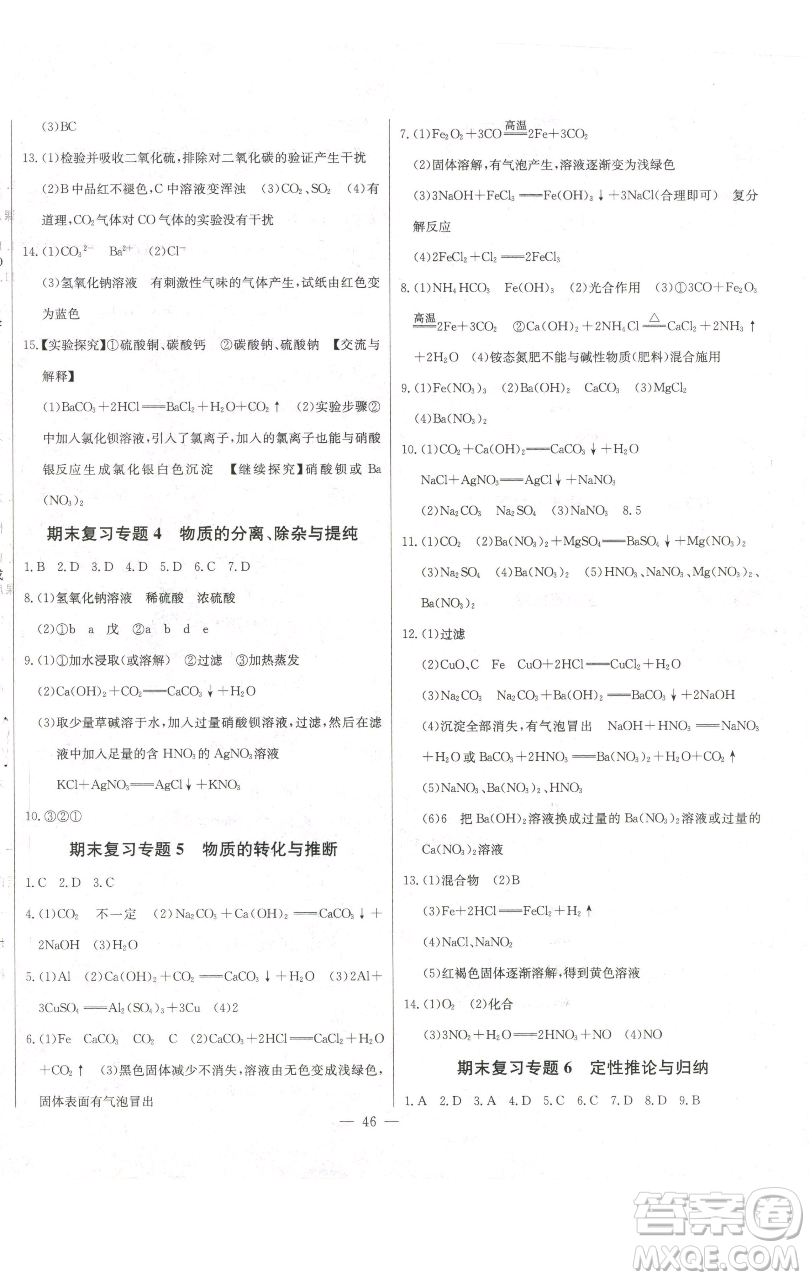 長江少年兒童出版社2023思維新觀察九年級下冊化學人教版參考答案