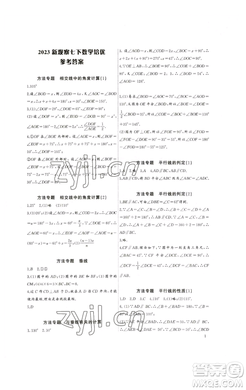長江少年兒童出版社2023思維新觀察培優(yōu)講練七年級下冊數(shù)學人教版參考答案