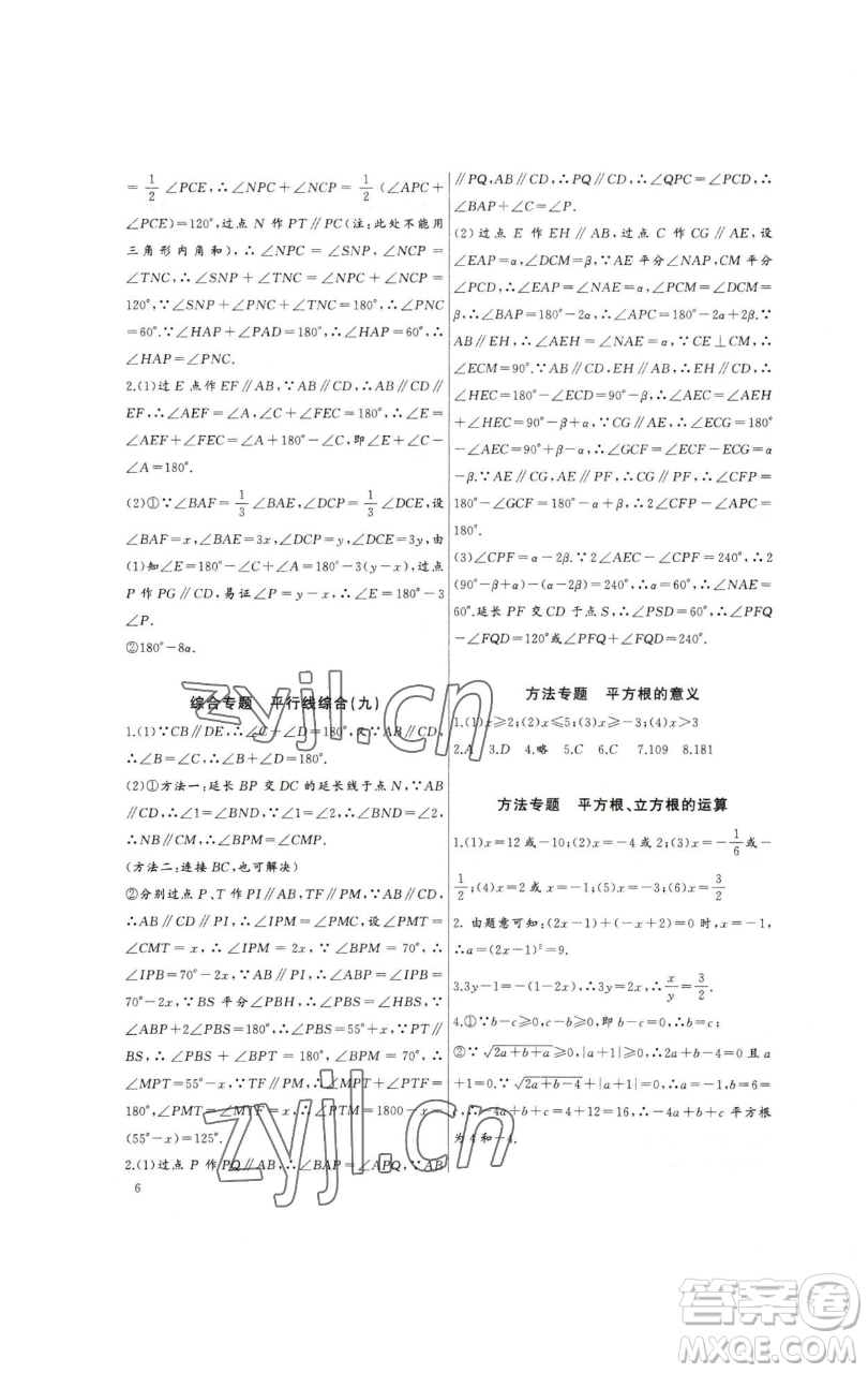 長江少年兒童出版社2023思維新觀察培優(yōu)講練七年級下冊數(shù)學人教版參考答案