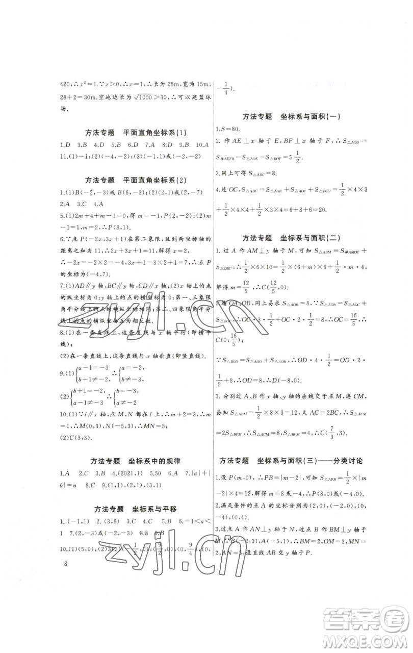 長江少年兒童出版社2023思維新觀察培優(yōu)講練七年級下冊數(shù)學人教版參考答案