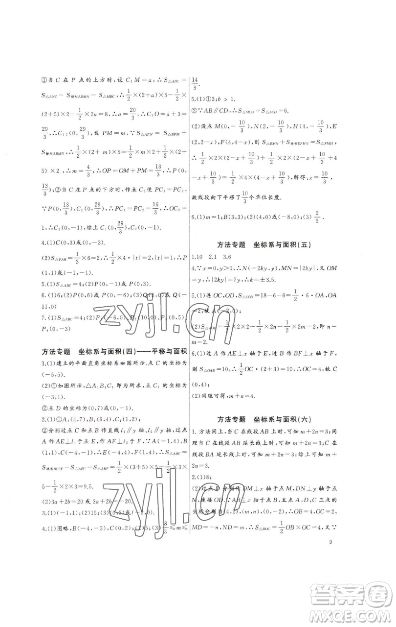 長江少年兒童出版社2023思維新觀察培優(yōu)講練七年級下冊數(shù)學人教版參考答案