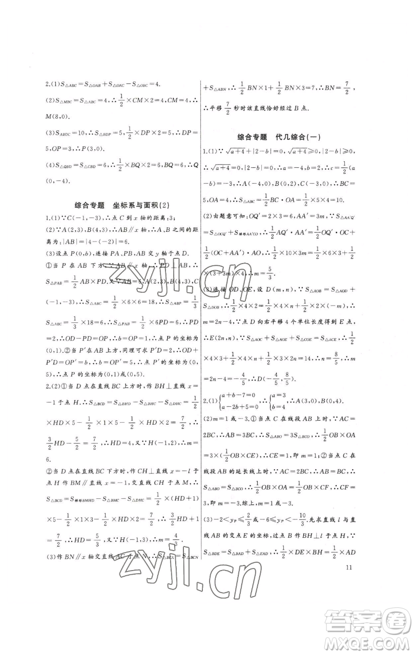 長江少年兒童出版社2023思維新觀察培優(yōu)講練七年級下冊數(shù)學人教版參考答案
