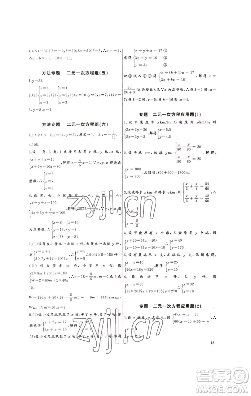 長江少年兒童出版社2023思維新觀察培優(yōu)講練七年級下冊數(shù)學人教版參考答案