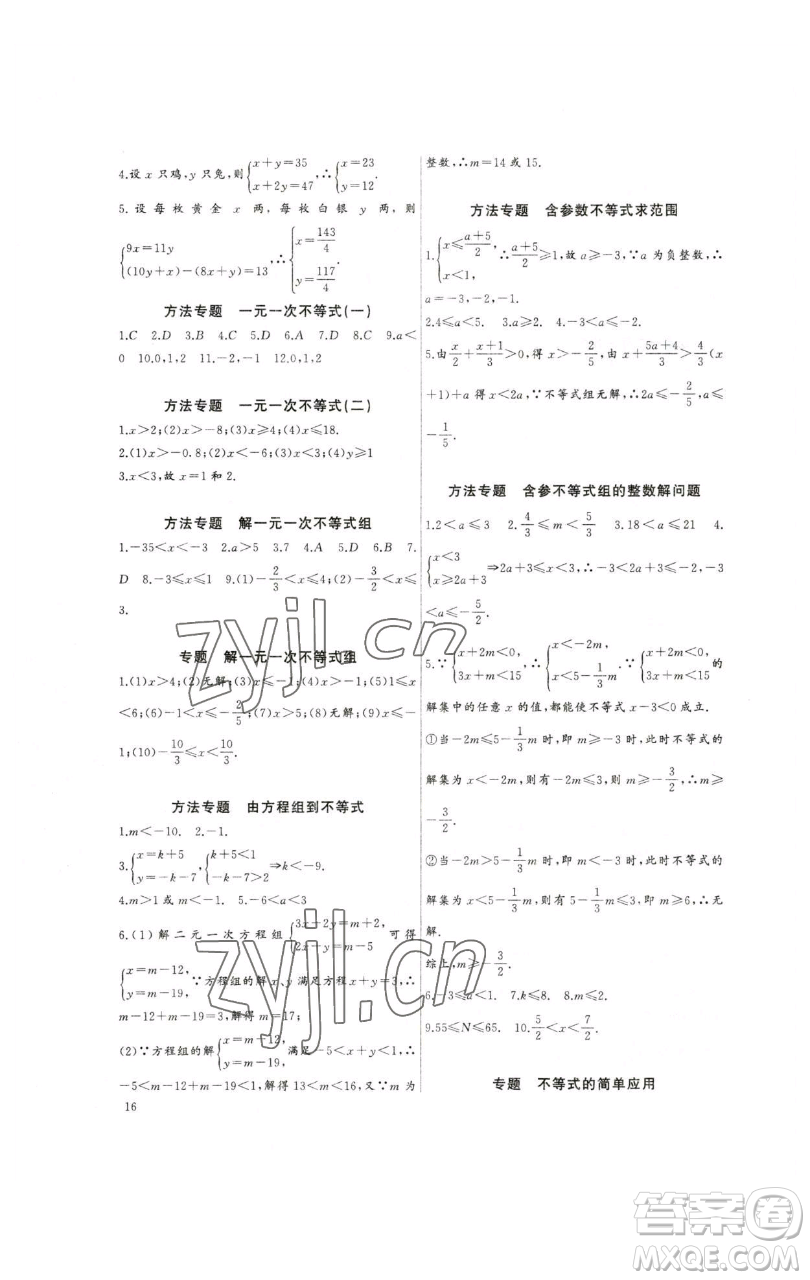 長江少年兒童出版社2023思維新觀察培優(yōu)講練七年級下冊數(shù)學人教版參考答案