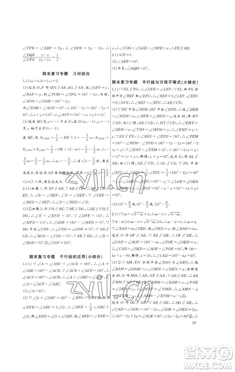 長江少年兒童出版社2023思維新觀察培優(yōu)講練七年級下冊數(shù)學人教版參考答案