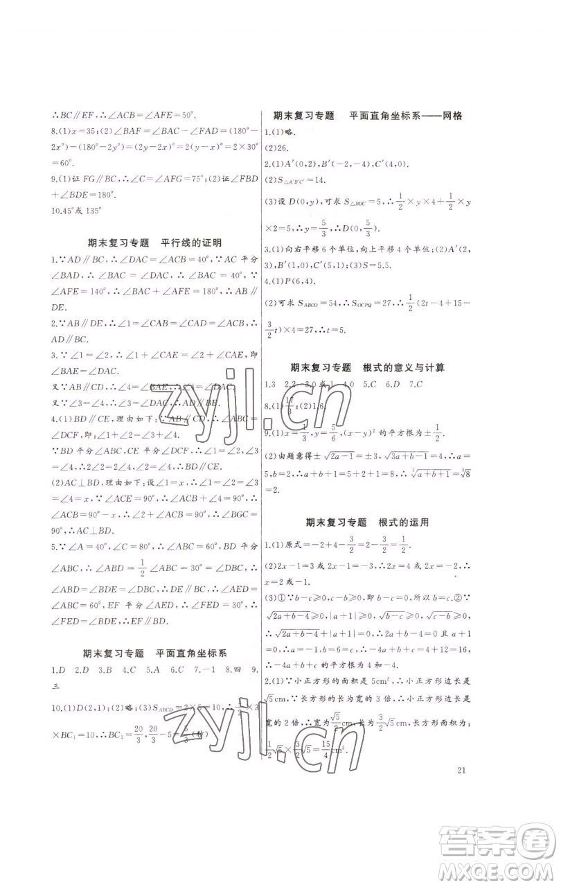 長江少年兒童出版社2023思維新觀察培優(yōu)講練七年級下冊數(shù)學人教版參考答案