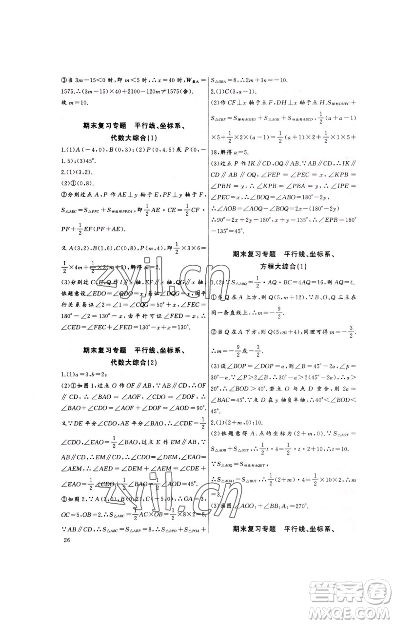 長江少年兒童出版社2023思維新觀察培優(yōu)講練七年級下冊數(shù)學人教版參考答案