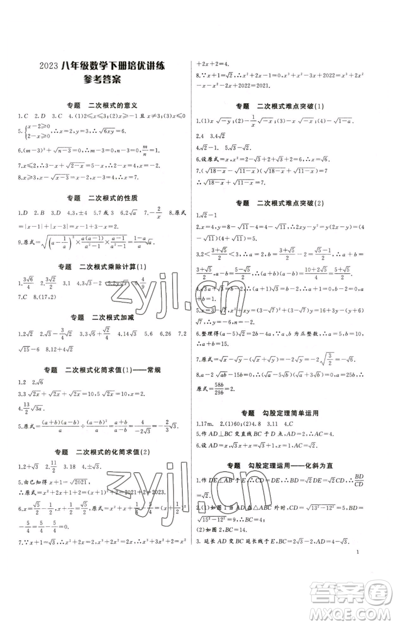 長(zhǎng)江少年兒童出版社2023思維新觀察培優(yōu)講練八年級(jí)下冊(cè)數(shù)學(xué)人教版參考答案