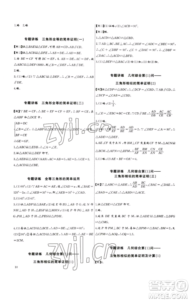 長江少年兒童出版社2023思維新觀察中考數(shù)學(xué)專題復(fù)習(xí)參考答案