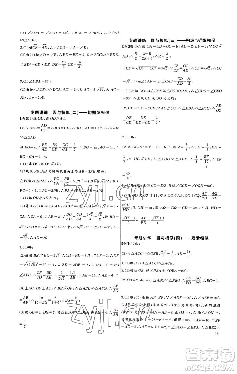 長江少年兒童出版社2023思維新觀察中考數(shù)學(xué)專題復(fù)習(xí)參考答案