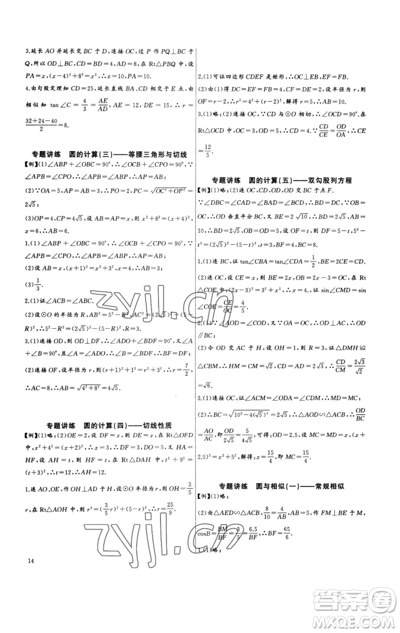 長江少年兒童出版社2023思維新觀察中考數(shù)學(xué)專題復(fù)習(xí)參考答案