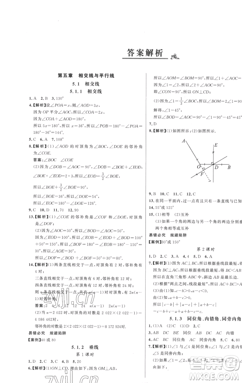 延邊大學(xué)出版社2023世紀(jì)金榜百練百勝七年級(jí)下冊(cè)數(shù)學(xué)人教版參考答案