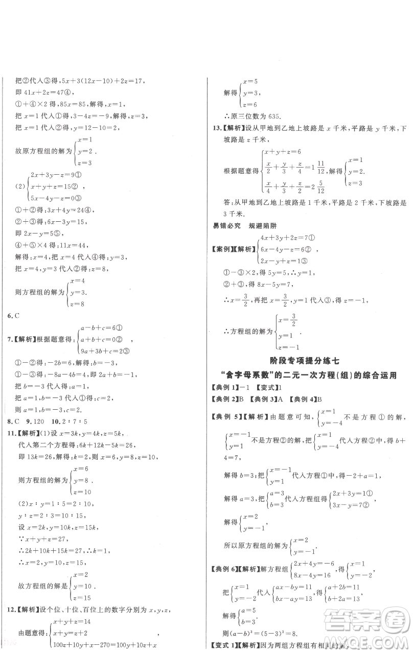 延邊大學(xué)出版社2023世紀(jì)金榜百練百勝七年級(jí)下冊(cè)數(shù)學(xué)人教版參考答案