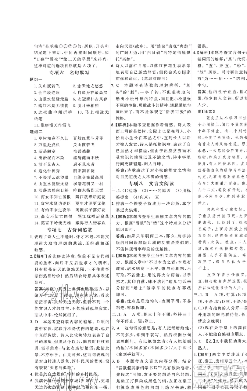 延邊大學(xué)出版社2023世紀(jì)金榜百練百勝七年級(jí)下冊(cè)語文人教版參考答案