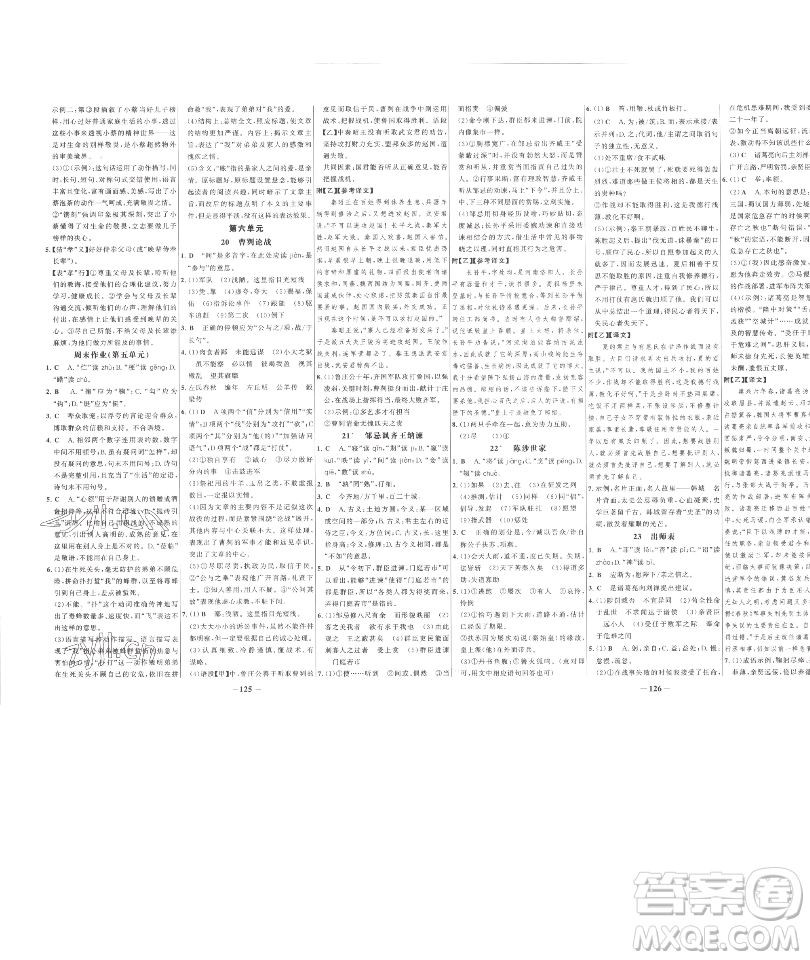 延邊大學(xué)出版社2023世紀(jì)金榜百練百勝九年級下冊語文人教版參考答案