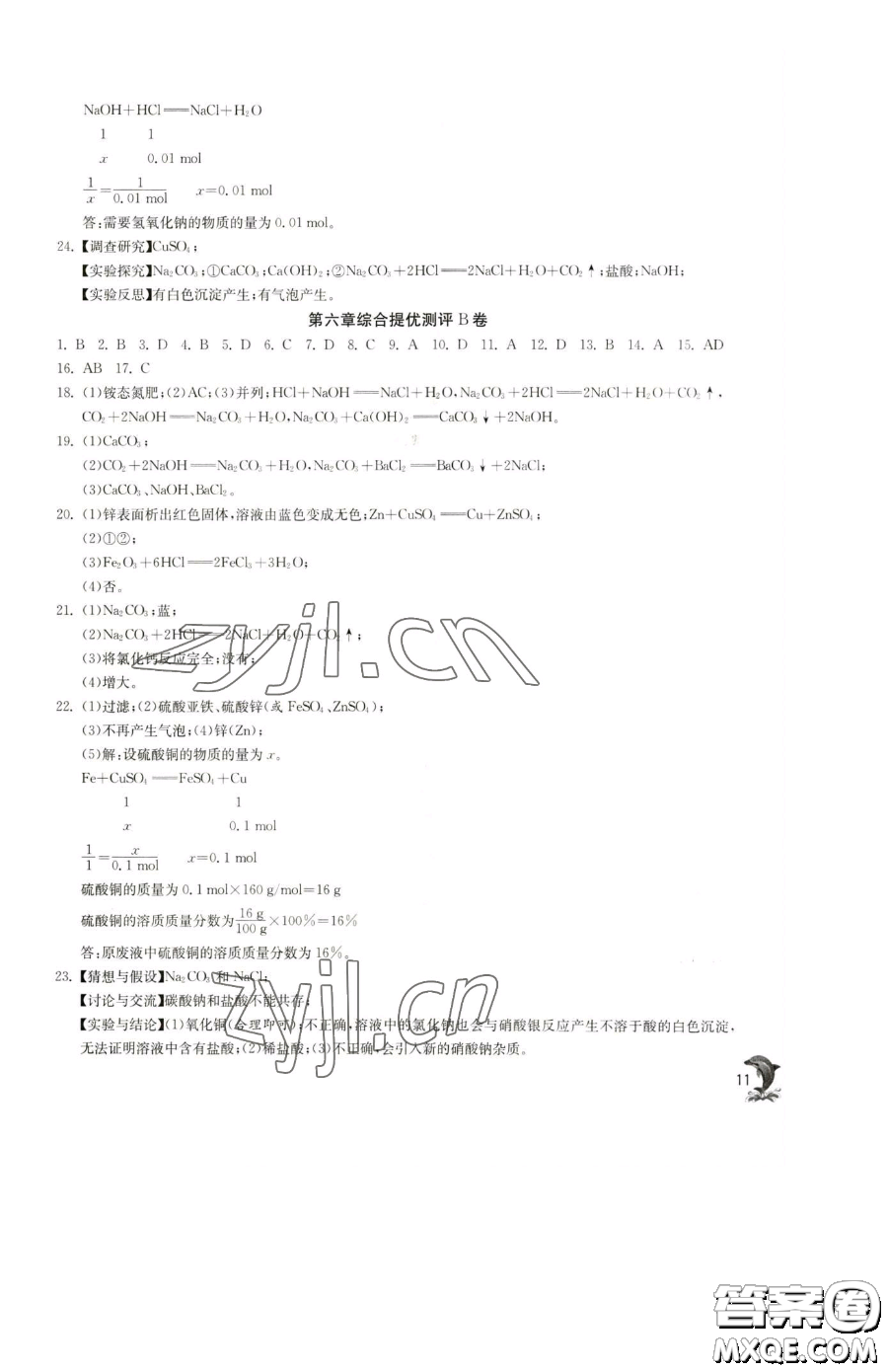 江蘇人民出版社2023實驗班提優(yōu)訓(xùn)練九年級下冊化學(xué)滬教版上海專版參考答案