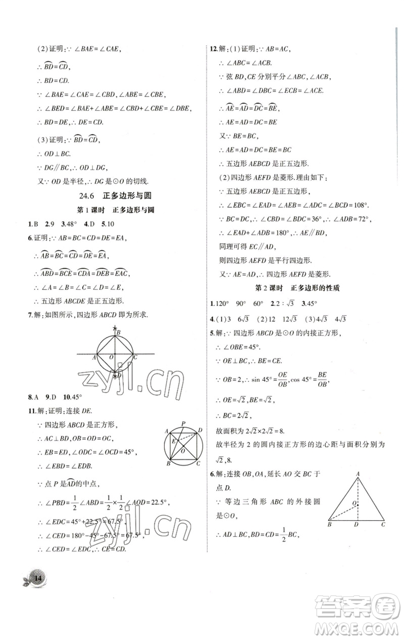 安徽大學(xué)出版社2023創(chuàng)新課堂創(chuàng)新作業(yè)本九年級(jí)數(shù)學(xué)下冊滬科版參考答案
