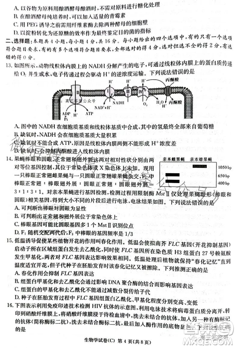 2023屆湖南新高考教學教研聯盟高三第一次聯考生物學試卷答案