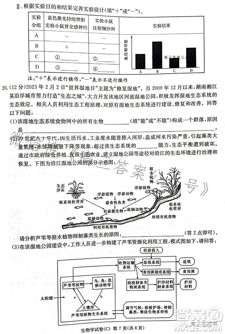 2023屆湖南新高考教學教研聯盟高三第一次聯考生物學試卷答案