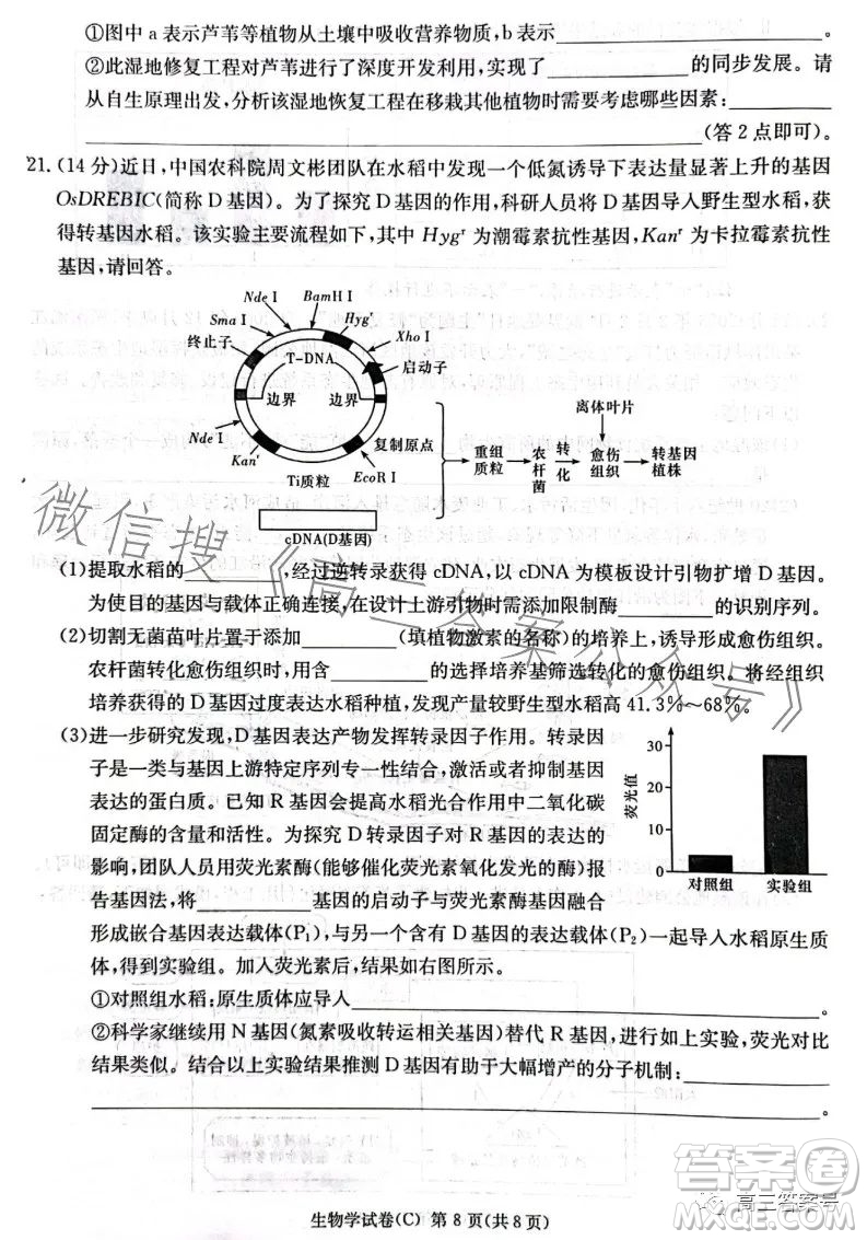 2023屆湖南新高考教學教研聯盟高三第一次聯考生物學試卷答案