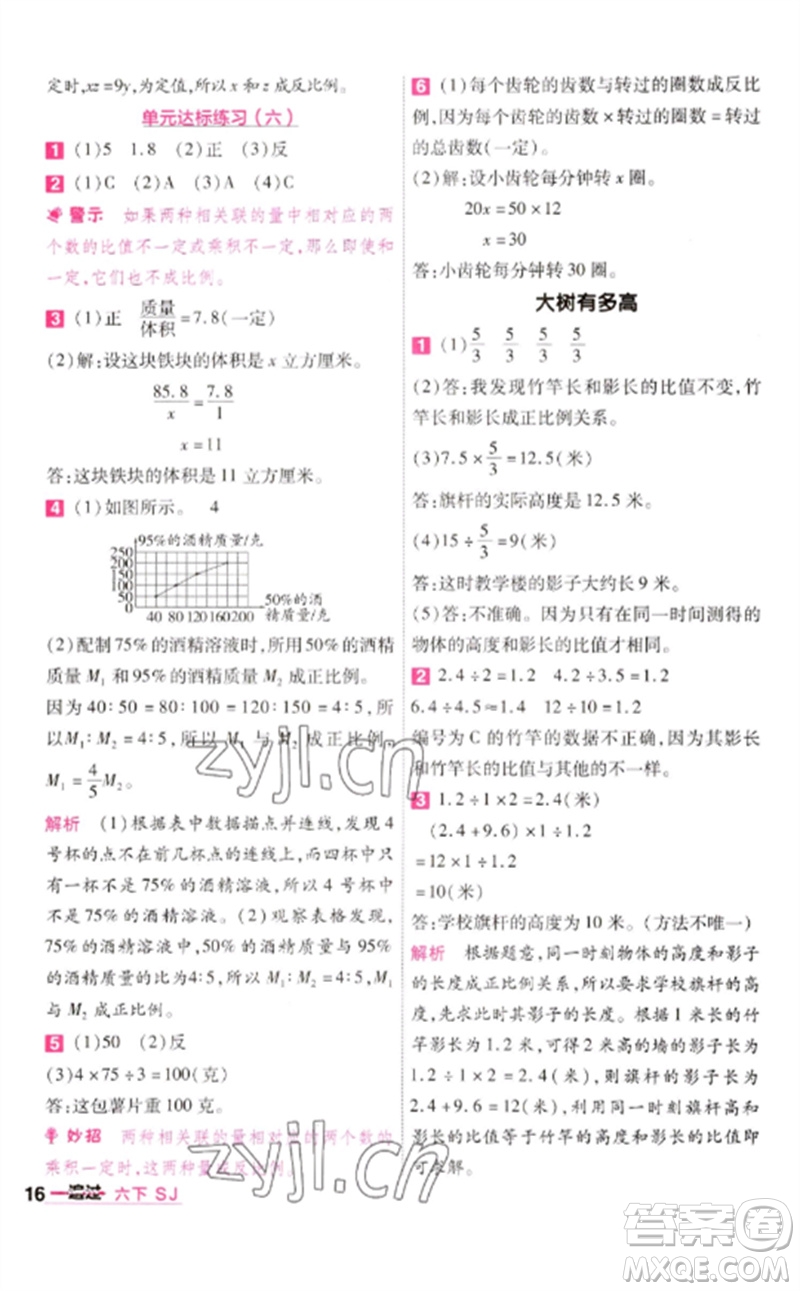 南京師范大學(xué)出版社2023一遍過六年級數(shù)學(xué)下冊蘇教版參考答案