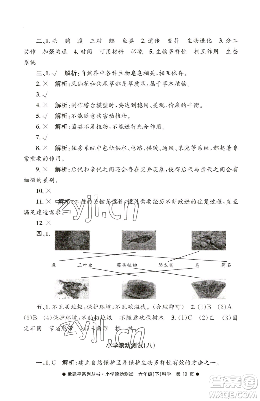 浙江工商大學(xué)出版社2023孟建平小學(xué)滾動測試六年級下冊科學(xué)教科版參考答案